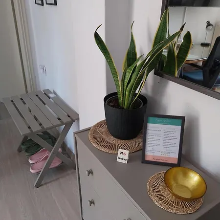 The Park House Apartment Florina